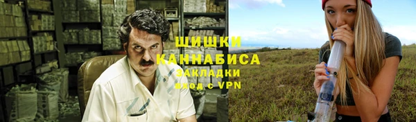 шишки Краснотурьинск