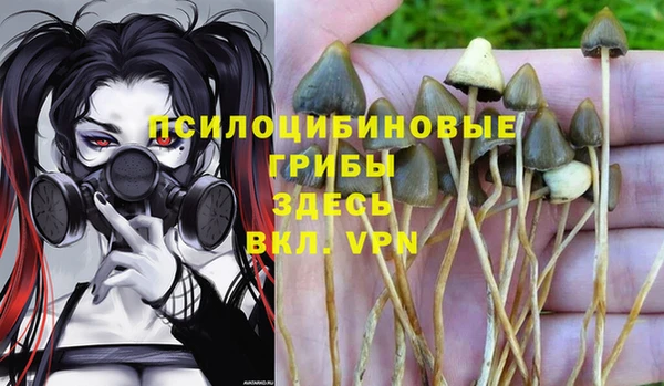кокаин колумбия Краснослободск
