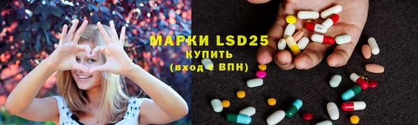 шишки Краснотурьинск