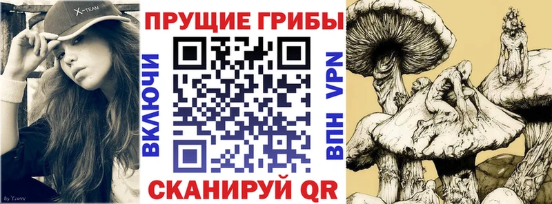 Галлюциногенные грибы мухоморы  Щёлково 