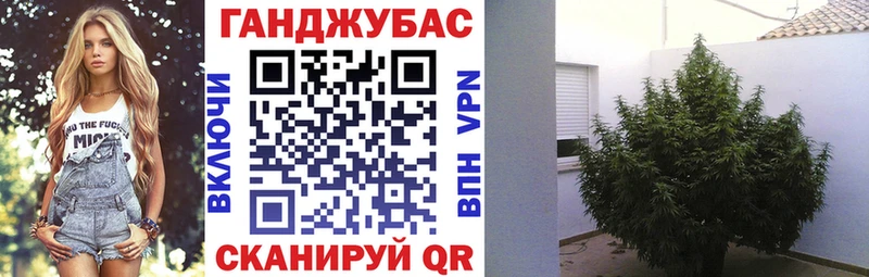 Шишки марихуана ГИДРОПОН Щёлково